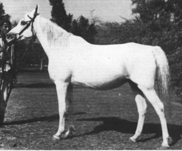 Kamla