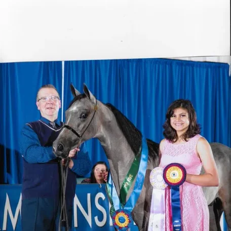 Vinnie winning Region 13 Sweepstakes Half Arabian Colt/Gelding and Region 13 Half Arabian Championship.