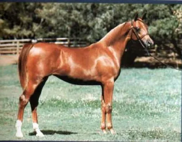Example