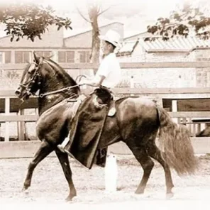 Resorte III