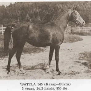 Battla