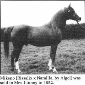 Mikeno