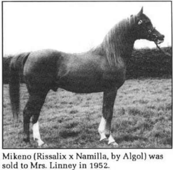 Mikeno