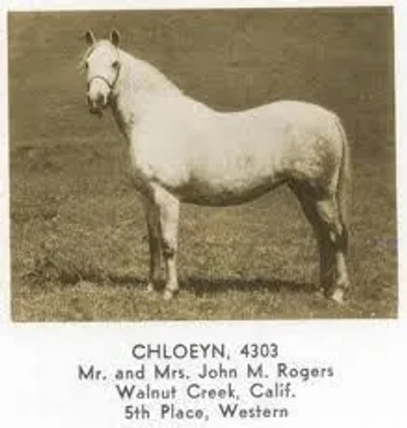 CHLOEYN