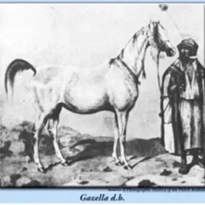 GAZELLA