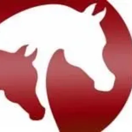 Arabian Horse Association