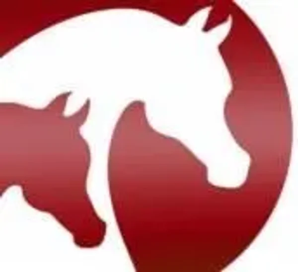 Arabian Horse Association