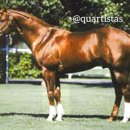 Grays Starlight