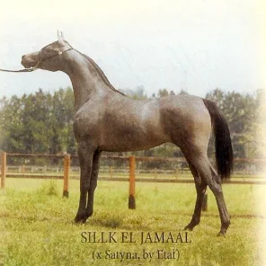 Silk El Jamaal