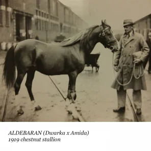 Aldebaran