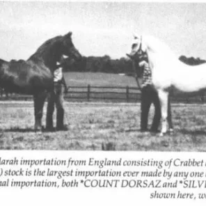 *COUNT DORSAZ