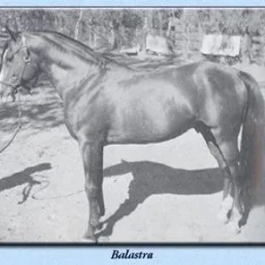 BALASTRA