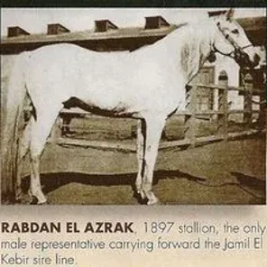 Rabdan El Azrak