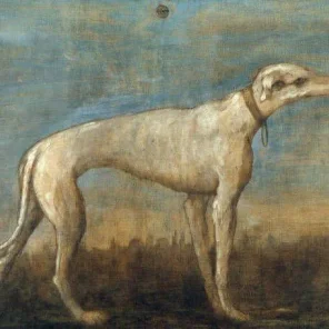 Reigning Cats and Dogs
