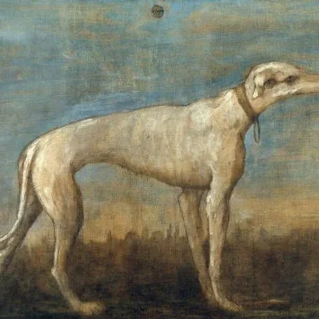 Cats, Dogs and Pets of the Kings and Queens
