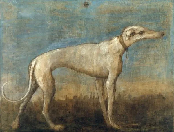 Cats, Dogs and Pets of the Kings and Queens