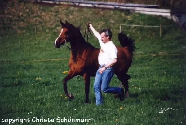 Khouri BB