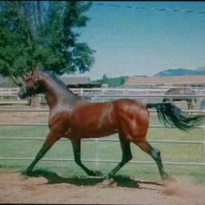 Titan C