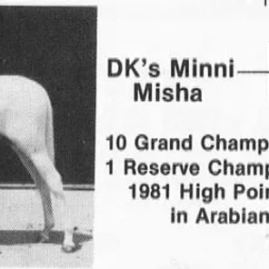 DKS MINNI MISHA