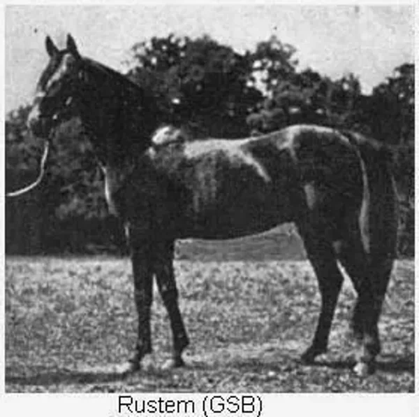 RUSTEM