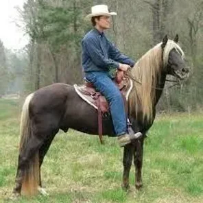Kentucky Mountain Saddle
