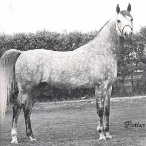 Kirkor