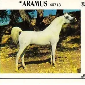 *ARAMUS