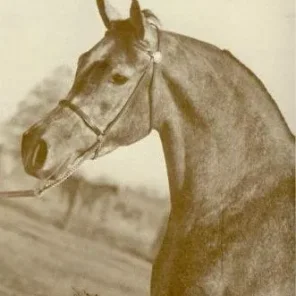 AHROUFA