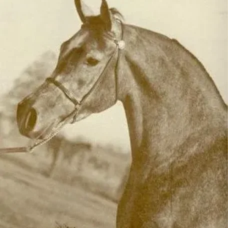 AHROUFA