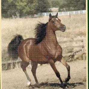 KATAHZA