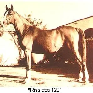 Rissletta