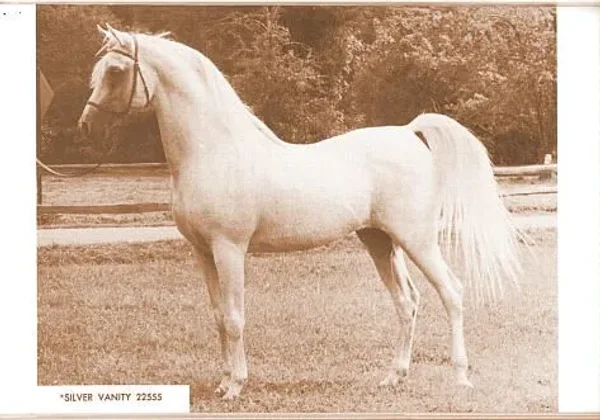 *SILVER VANITY