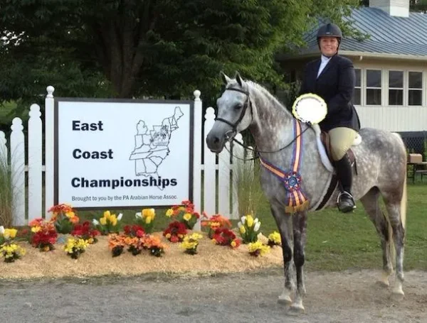 LUXEMERE PATRICIAN+// 
The Arabian-Bred Hunter & Jumper Assoc. High Point H/J of the East Coast Championships for 2013 is Kimberly Graves and her Arabian gelding LUXEMERE PATRICIAN (Falcon BHF x TA Jihana Bey). Congratulations!