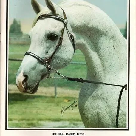 The Real McCoy