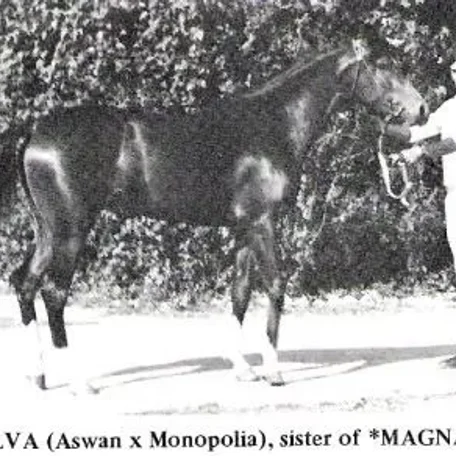Molva