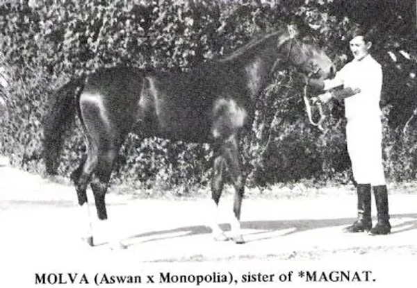 Molva