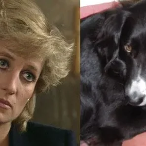 The Pets of Pricess Diana