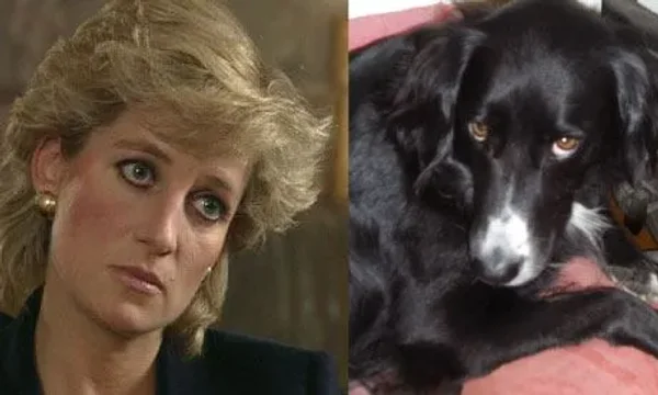 Princess Diana and a few of her pets