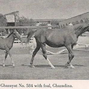 GHAZAYAT