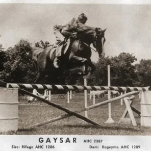 GAYSAR