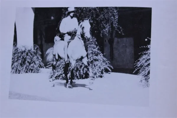 Daareyn (Raseyn x Raad) grey stallion, foaled July 29, 1940
bred by W.K. Kellogg Institute