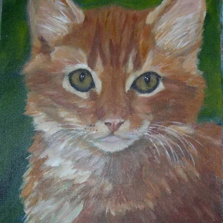 Portrat of sweet kitty Leo of Austin, Texas