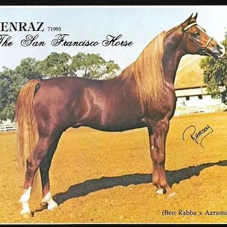 BENRAZ++//