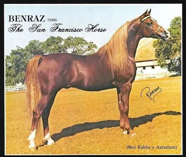 BENRAZ++//