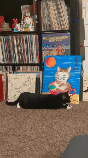 Why is she sitting like this