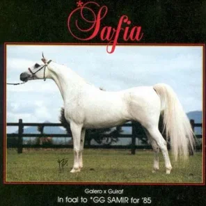 SAFIA