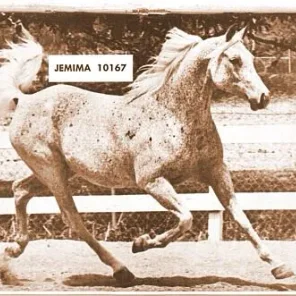 Jemima