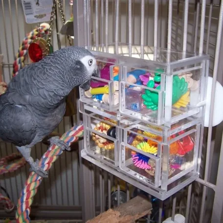 Types of Bird Toys - Store and Home Made
