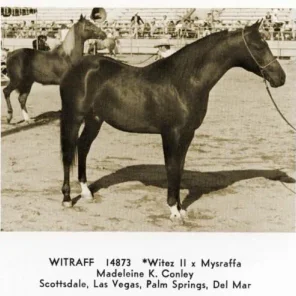 WITRAFF