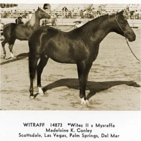 WITRAFF